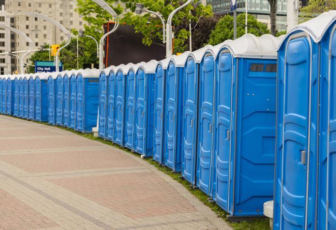 portable restrooms with sink and hand sanitizer stations, available at a festival in Catharpin, VA